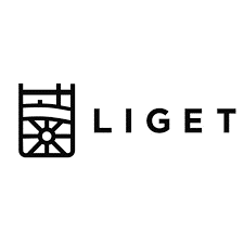 Liget